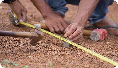 Humanitarian Response